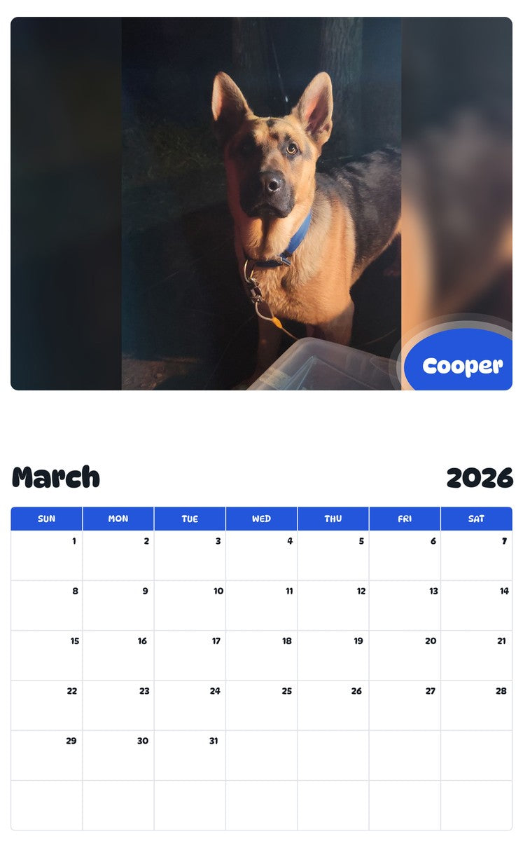 November 2025 - October 2026 Cooper - Pawidols Pet Calendar