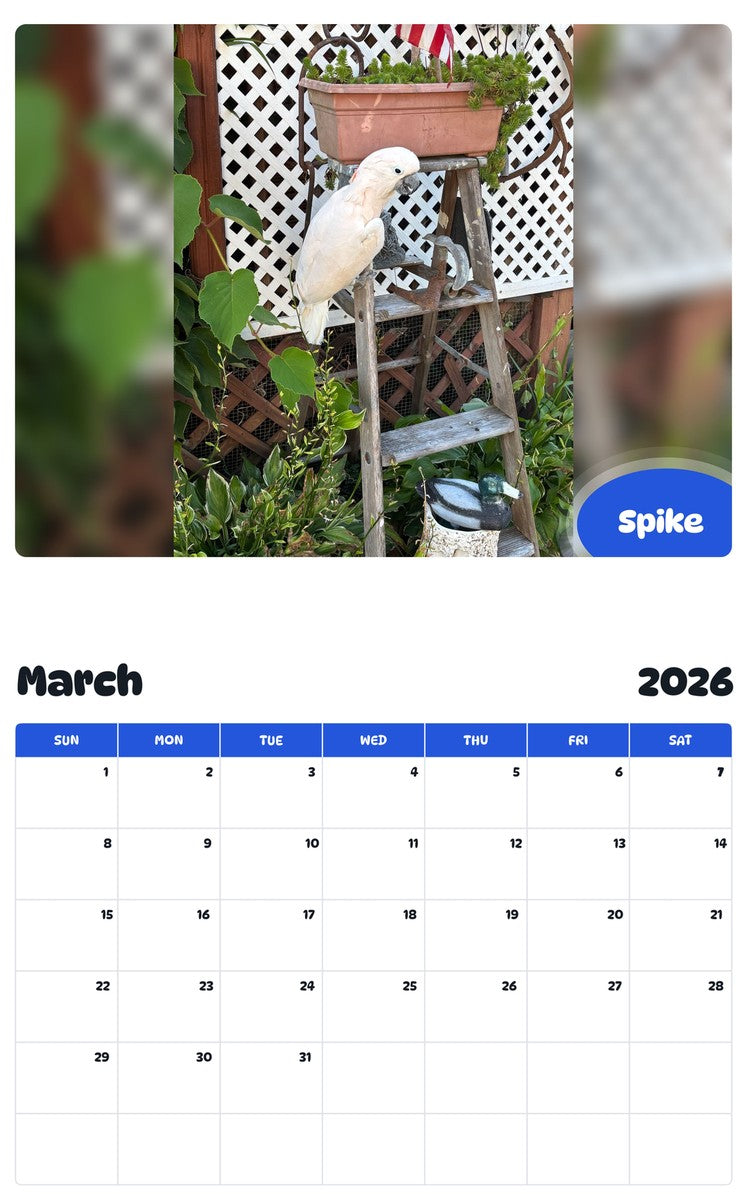 November 2025 - October 2026 Spike - Pawidols Pet Calendar