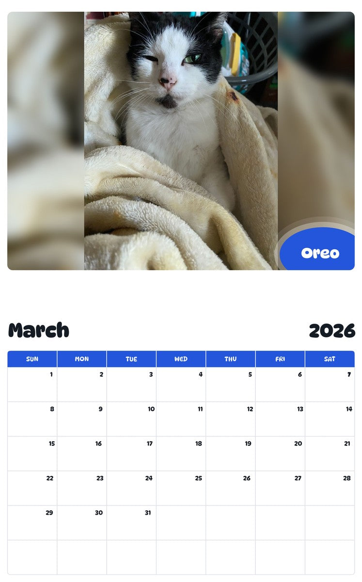 November 2025 - October 2026 Oreo - Pawidols Pet Calendar