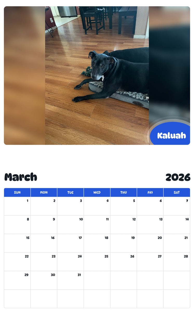 November 2025 - October 2026 Kaluah - Pawidols Pet Calendar