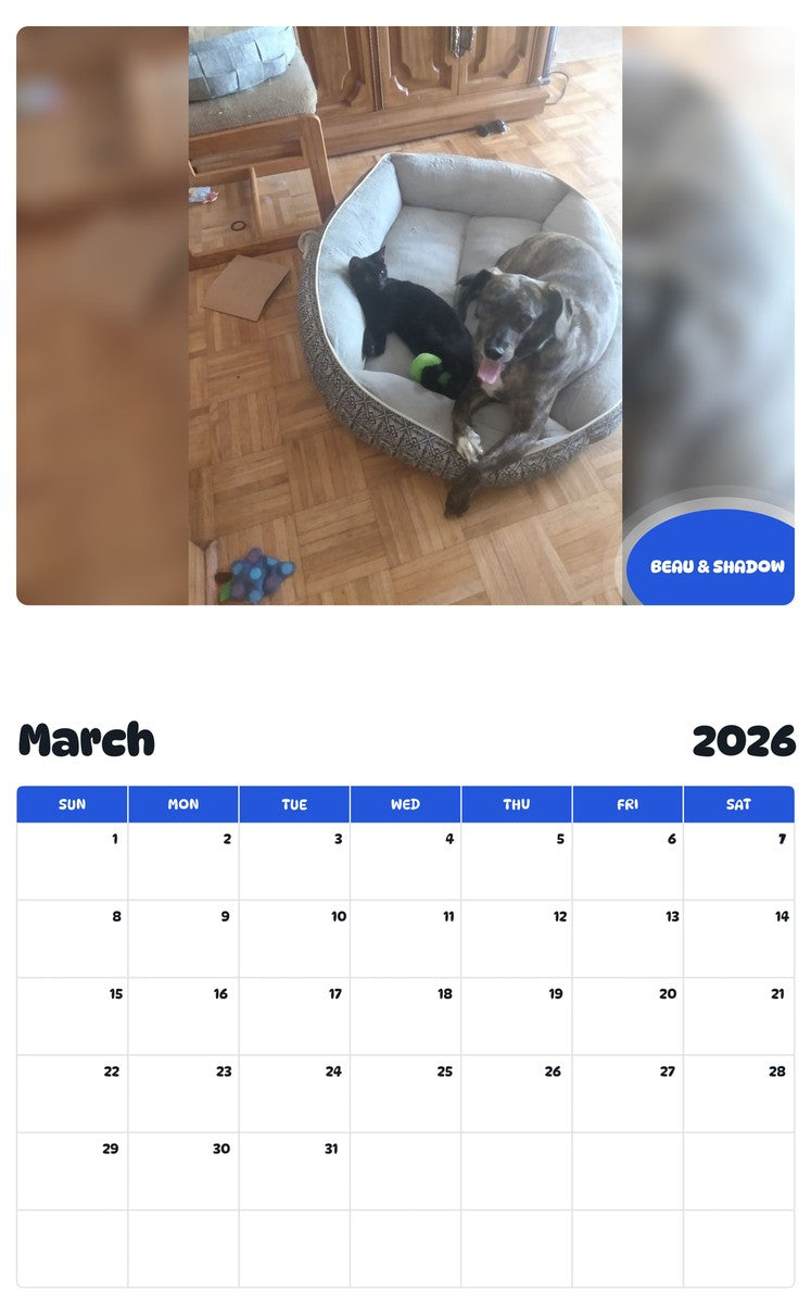 November 2025 - October 2026 BEAU & SHADOW - Pawidols Pet Calendar
