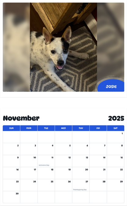 July 2025 - June 2026 Josie - Pawidols Pet Calendar