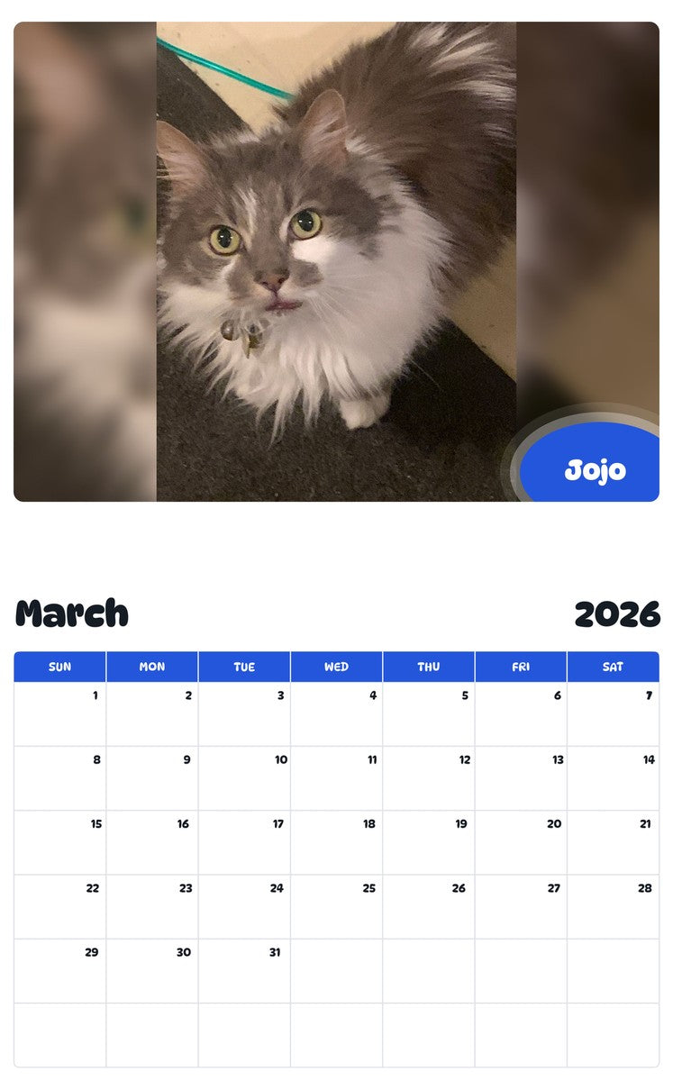 November 2025 - October 2026 Jojo - Pawidols Pet Calendar