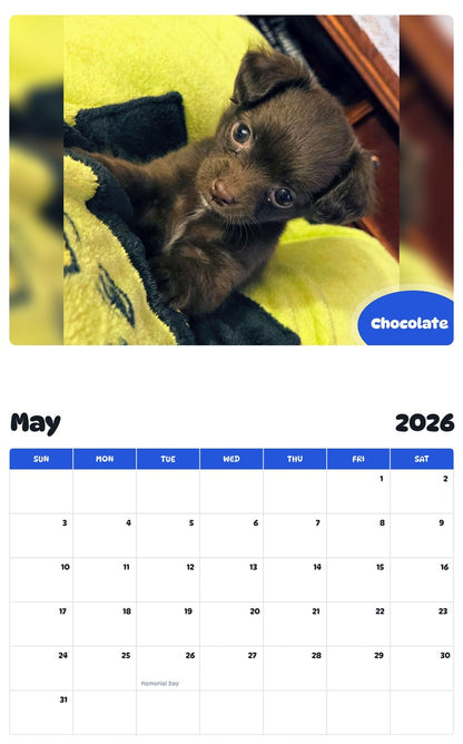 2026 - 2027 Chocolate - Pawidols Pet Calendar