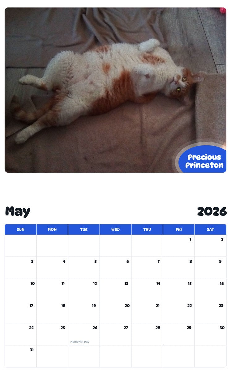 2026 - 2027 Precious Princeton - Pawidols Pet Calendar