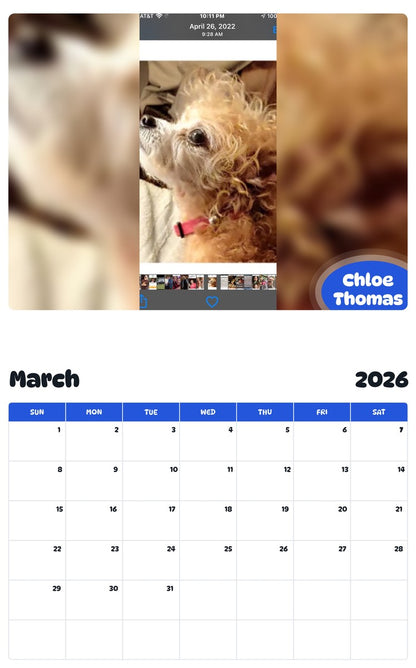 November 2025 - October 2026 Chloe Thomas - Pawidols Pet Calendar