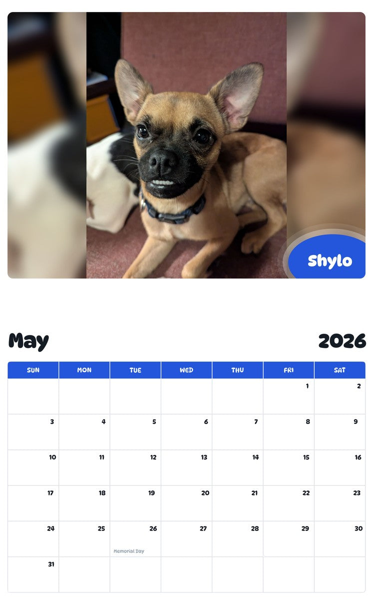2026 - 2027 Shylo - Pawidols Pet Calendar