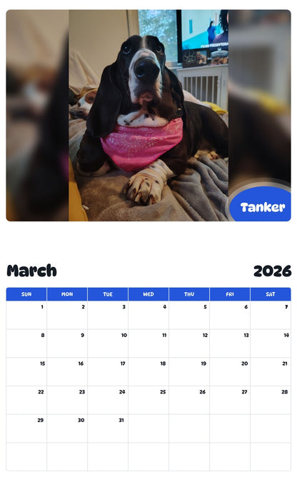 November 2025 - October 2026 Tanker - Pawidols Pet Calendar