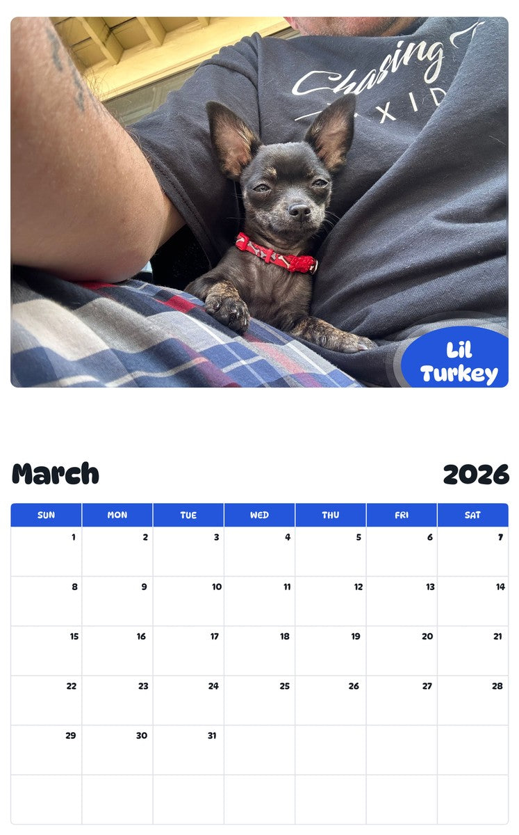 November 2025 - October 2026 Lil Turkey - Pawidols Pet Calendar