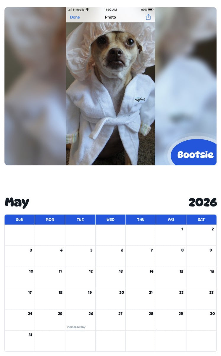 2026 - 2027 Bootsie - Pawidols Pet Calendar