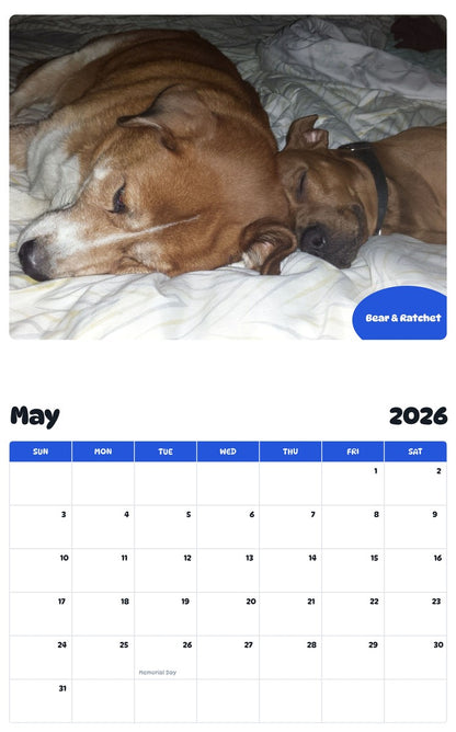 2026 - 2027 Bear & Ratchet - Pawidols Pet Calendar