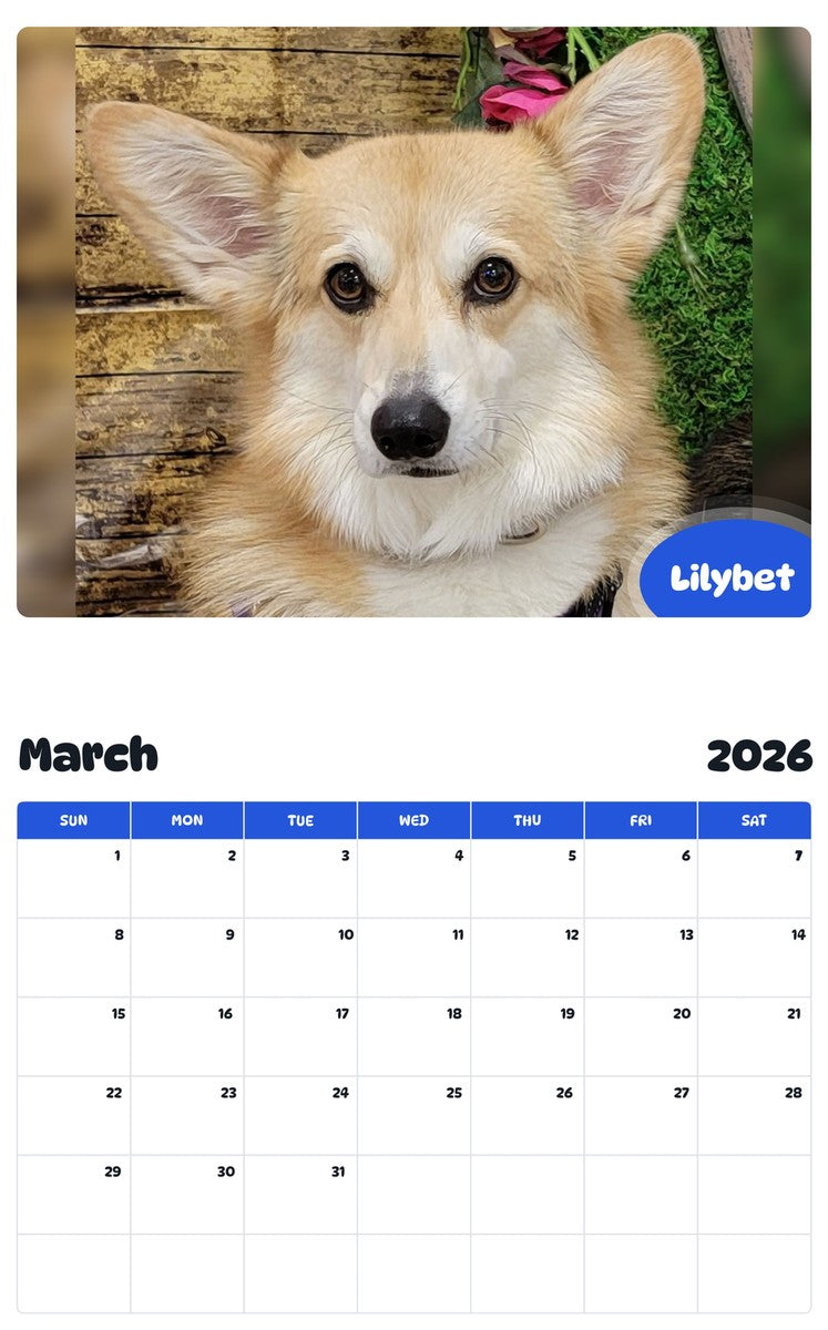 November 2025 - October 2026 Lilybet - Pawidols Pet Calendar