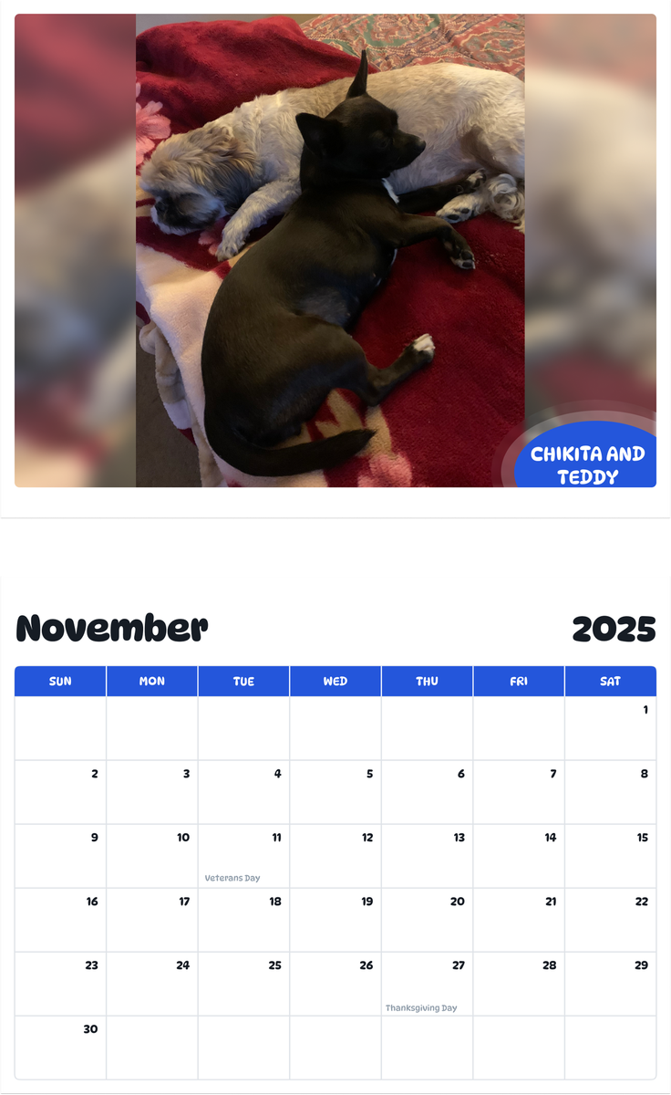 July 2025 - June 2026 Chikita and Teddy - Pawidols Pet Calendar