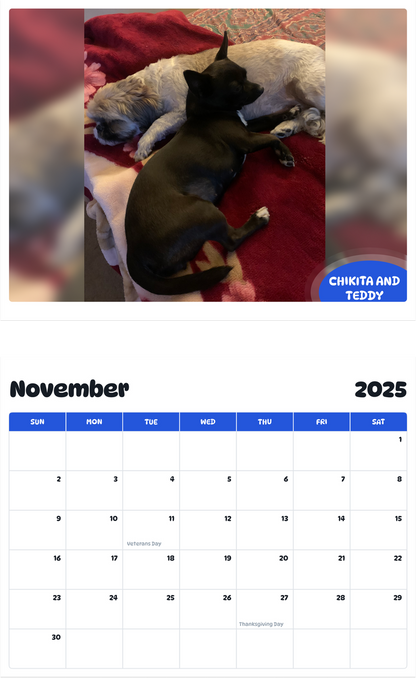 July 2025 - June 2026 Chikita and Teddy - Pawidols Pet Calendar