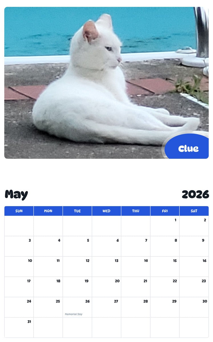 2026 - 2027 Clue - Pawidols Pet Calendar