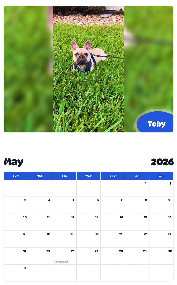 2026 - 2027 Toby - Pawidols Pet Calendar