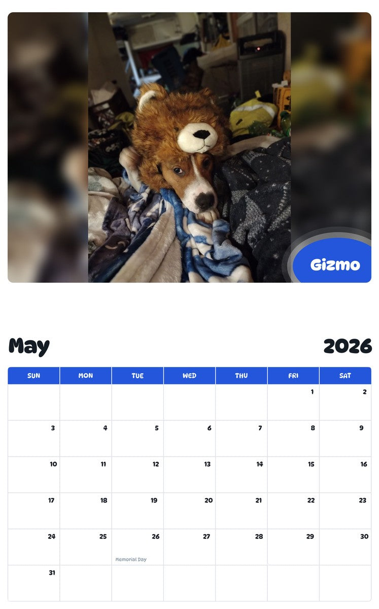 2026 - 2027 Gizmo - Pawidols Pet Calendar