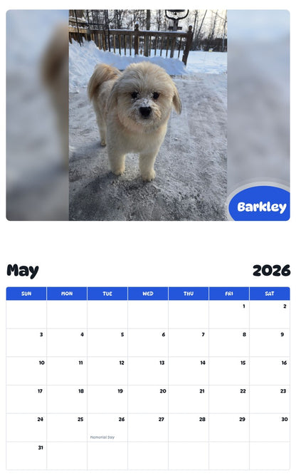 2026 - 2027 Barkley - Pawidols Pet Calendar