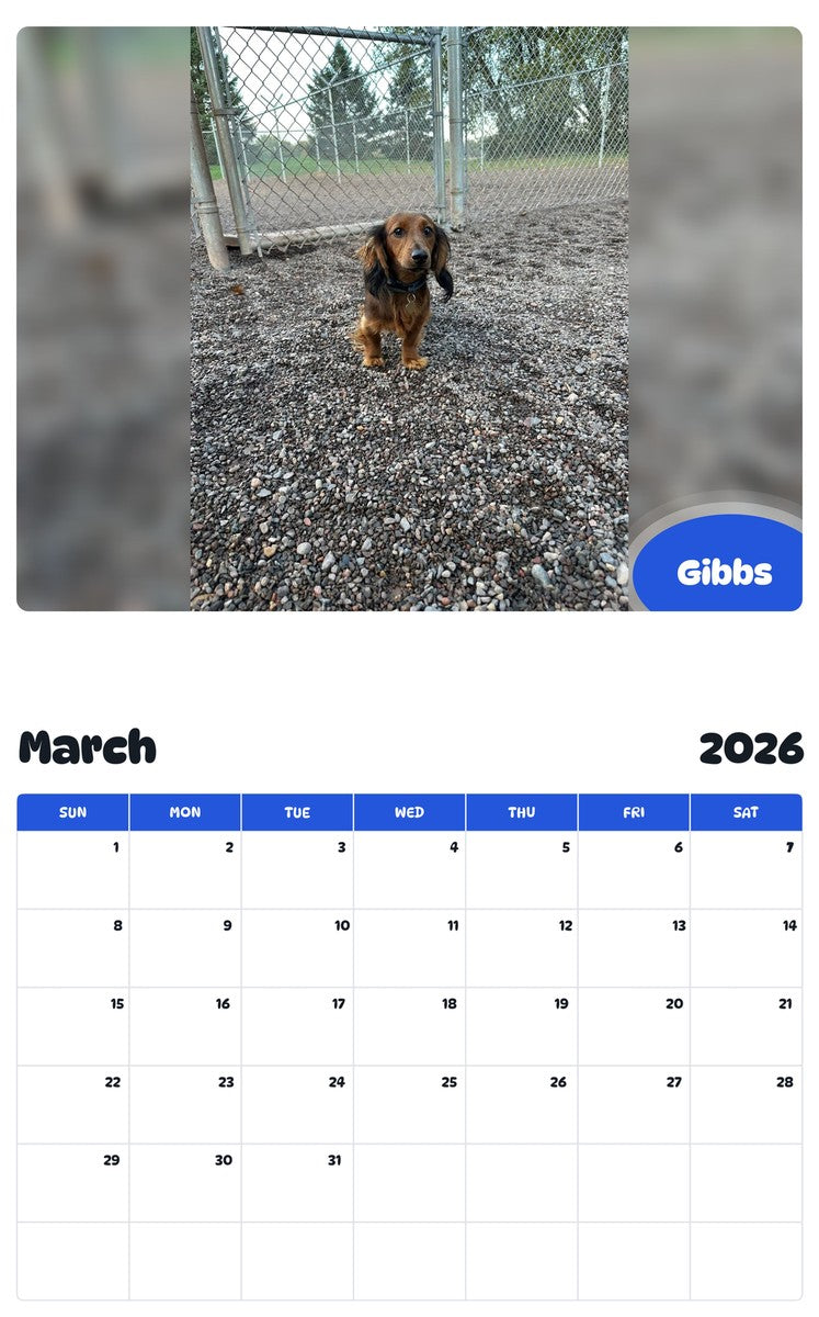 November 2025 - October 2026 Gibbs - Pawidols Pet Calendar