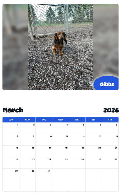 November 2025 - October 2026 Gibbs - Pawidols Pet Calendar