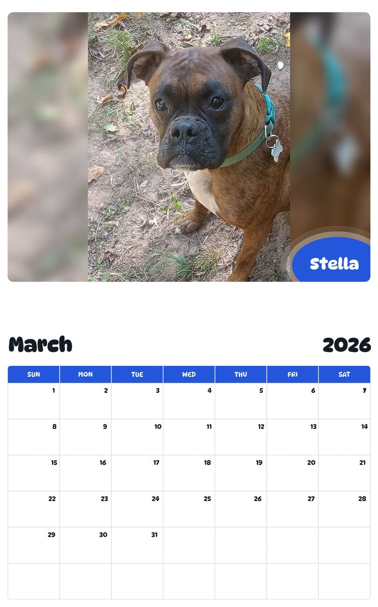 November 2025 - October 2026 Stella - Pawidols Pet Calendar