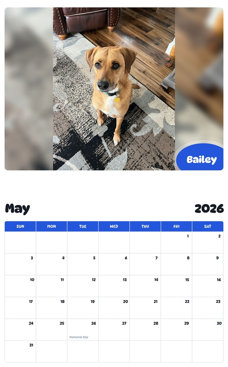 2026 - 2027 Bailey - Pawidols Pet Calendar