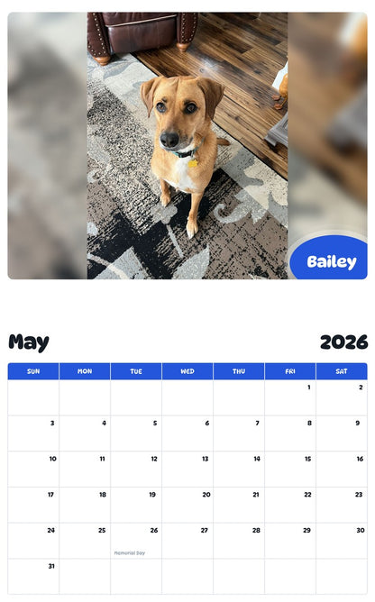 2026 - 2027 Bailey - Pawidols Pet Calendar