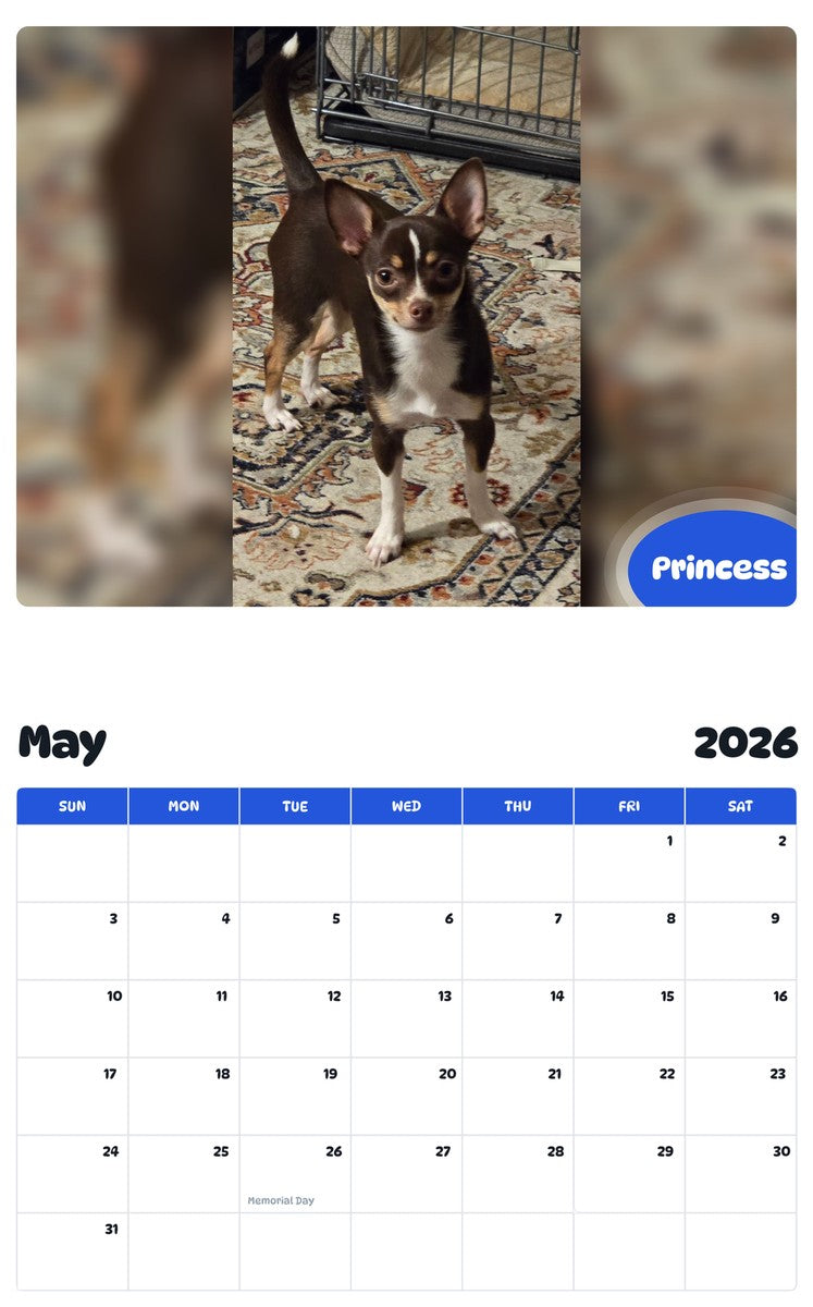 2026 - 2027 Princess - Pawidols Pet Calendar