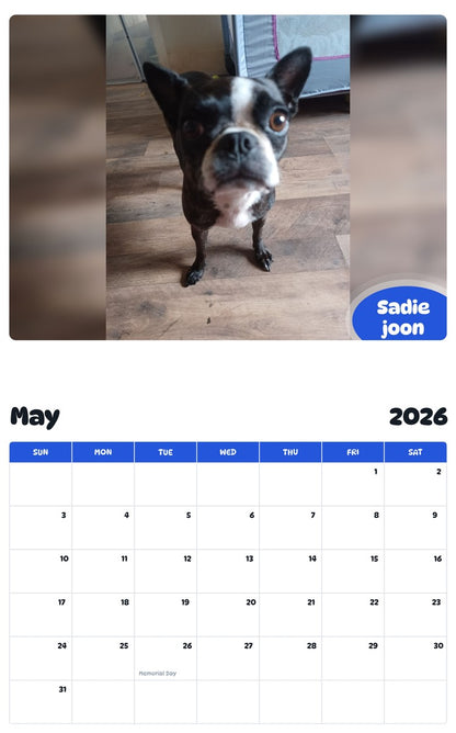 2026 - 2027 Sadie joon - Pawidols Pet Calendar