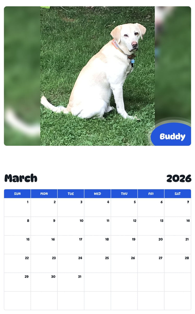 November 2025 - October 2026 Buddy - Pawidols Pet Calendar