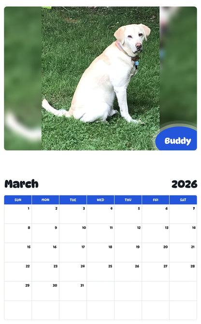 November 2025 - October 2026 Buddy - Pawidols Pet Calendar