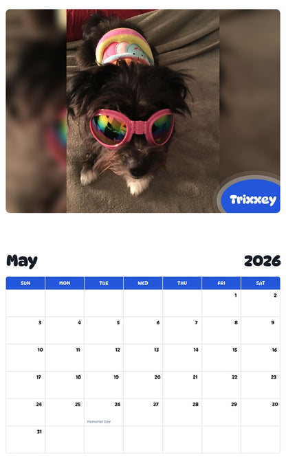 2026 - 2027 Trixxey - Pawidols Pet Calendar