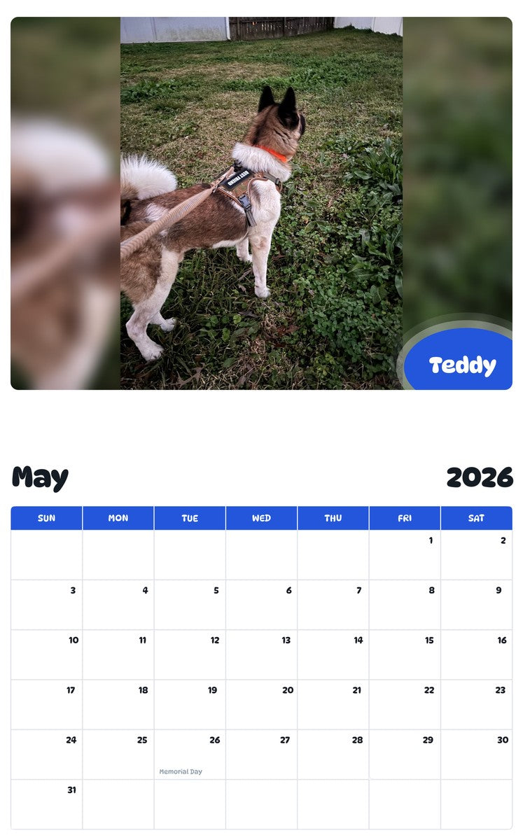 2026 - 2027 Teddy - Pawidols Pet Calendar