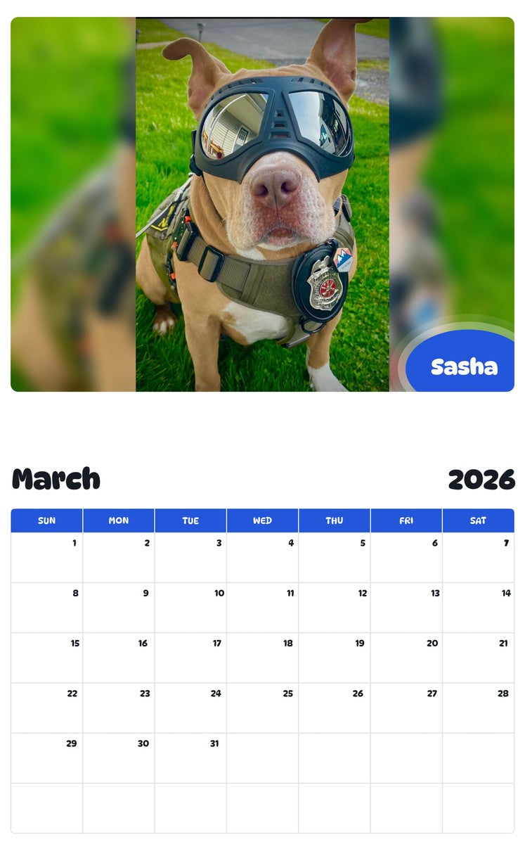 November 2025 - October 2026 Sasha - Pawidols Pet Calendar