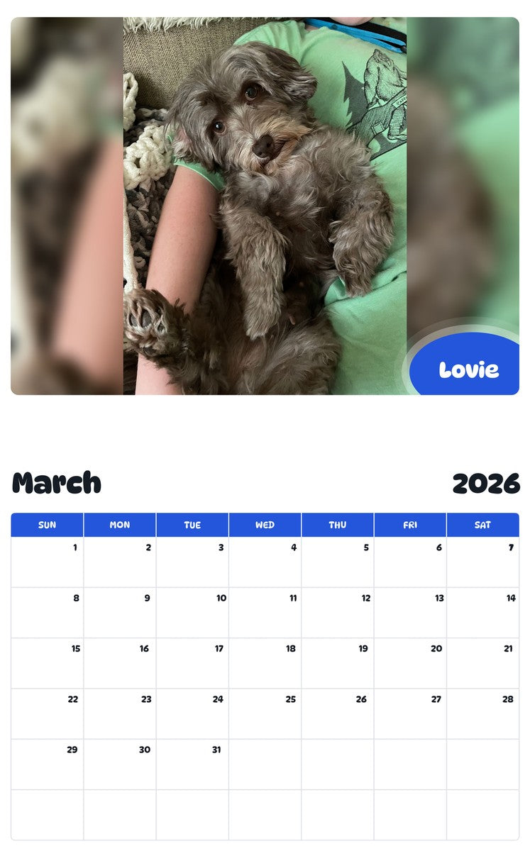 November 2025 - October 2026 Lovie - Pawidols Pet Calendar