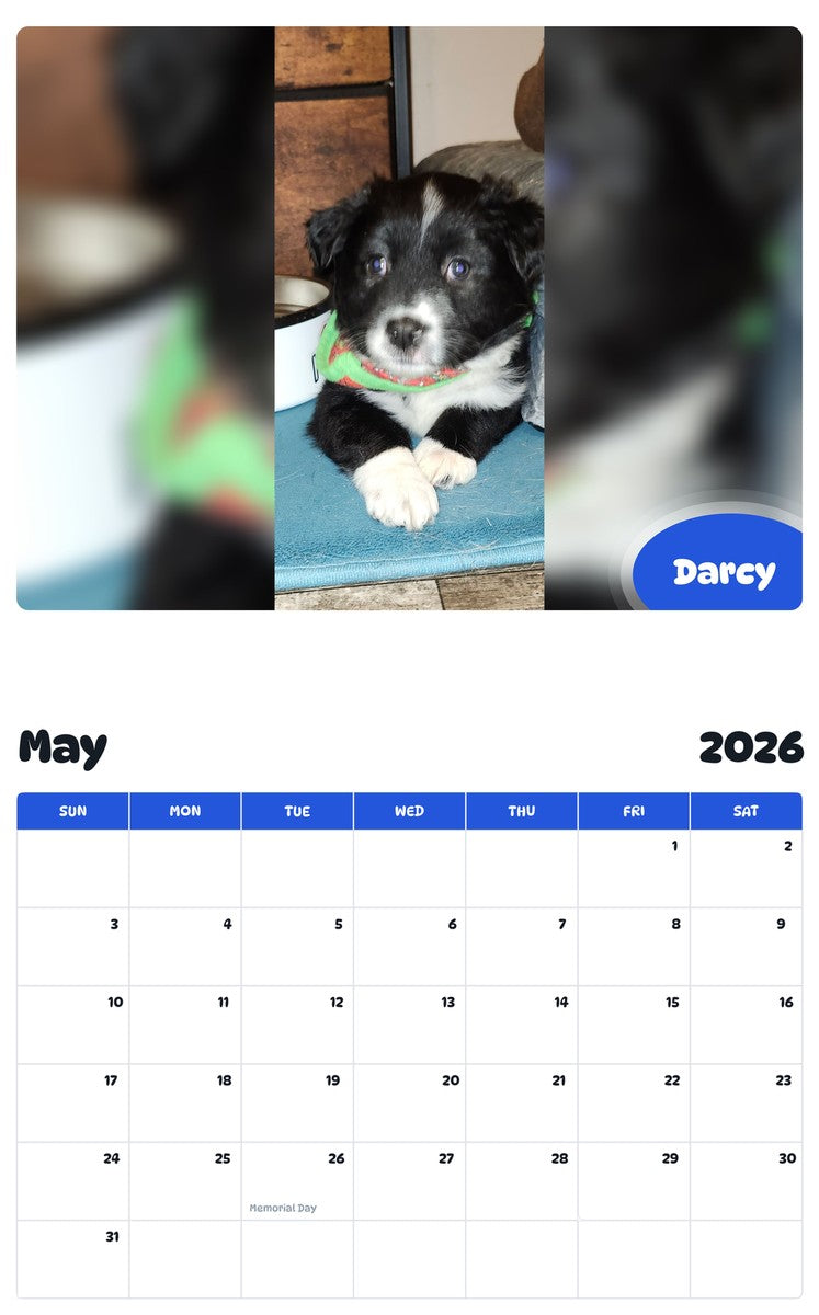 2026 - 2027 Darcy - Pawidols Pet Calendar