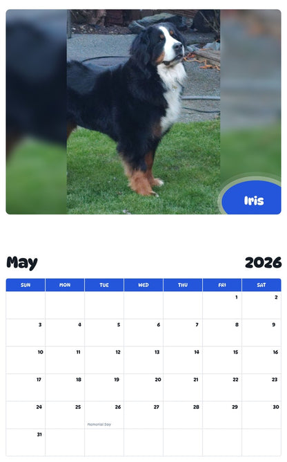 2026 - 2027 Iris - Pawidols Pet Calendar