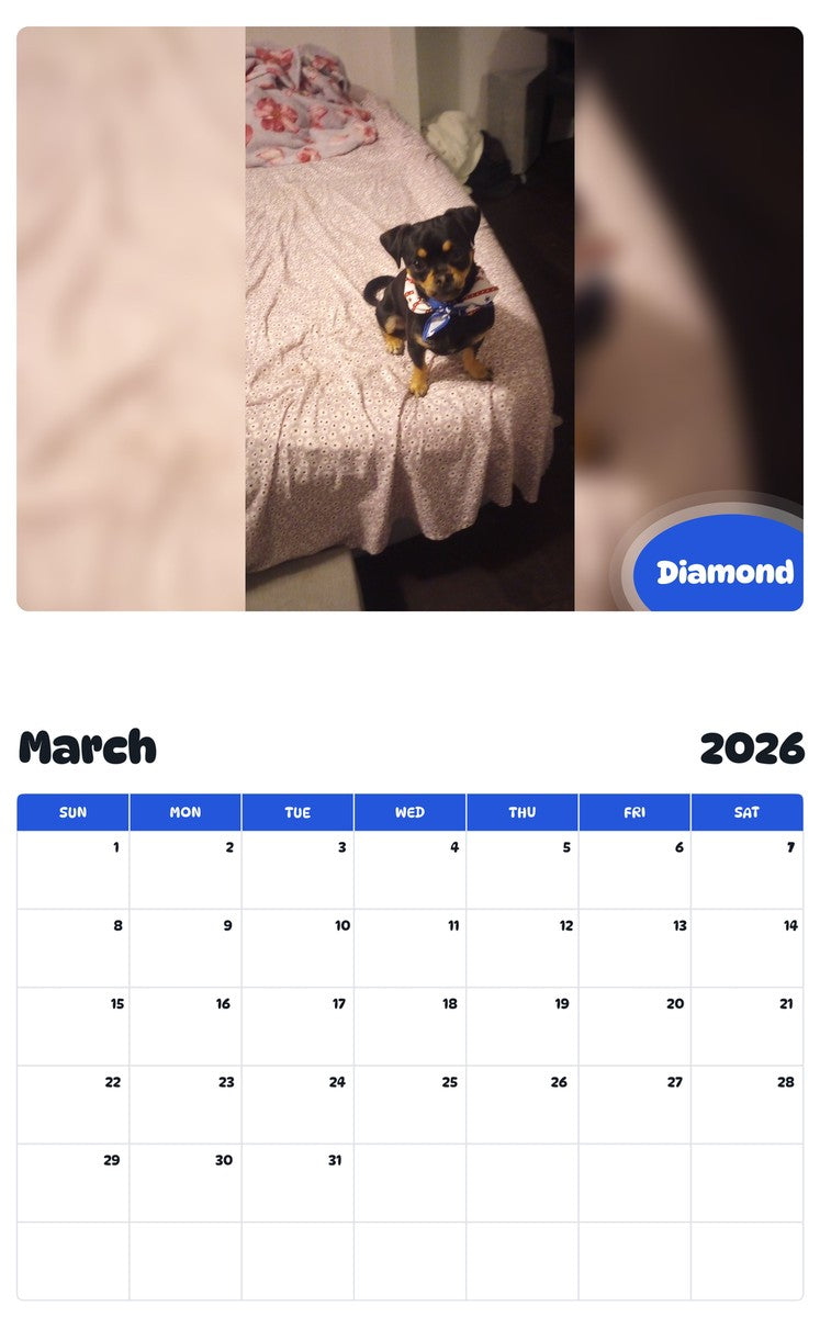 November 2025 - October 2026 Diamond - Pawidols Pet Calendar