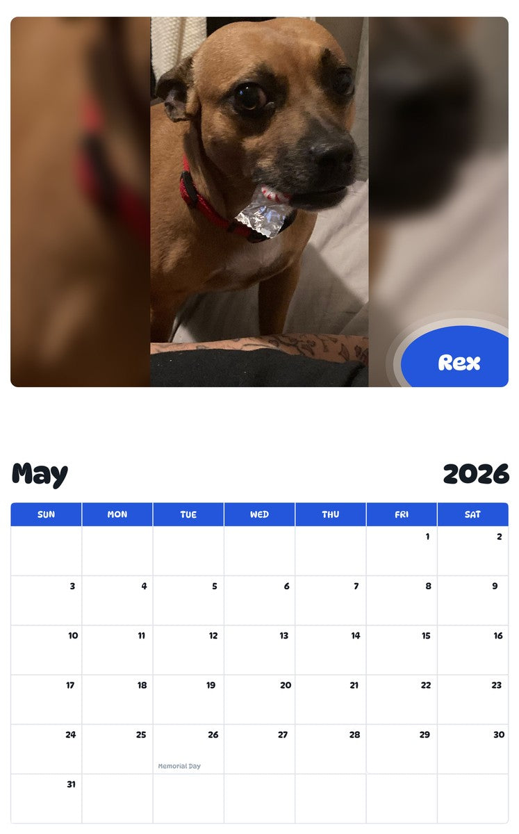 2026 - 2027 Rex - Pawidols Pet Calendar