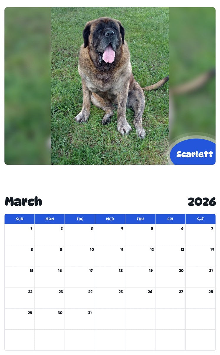 November 2025 - October 2026 Scarlett - Pawidols Pet Calendar