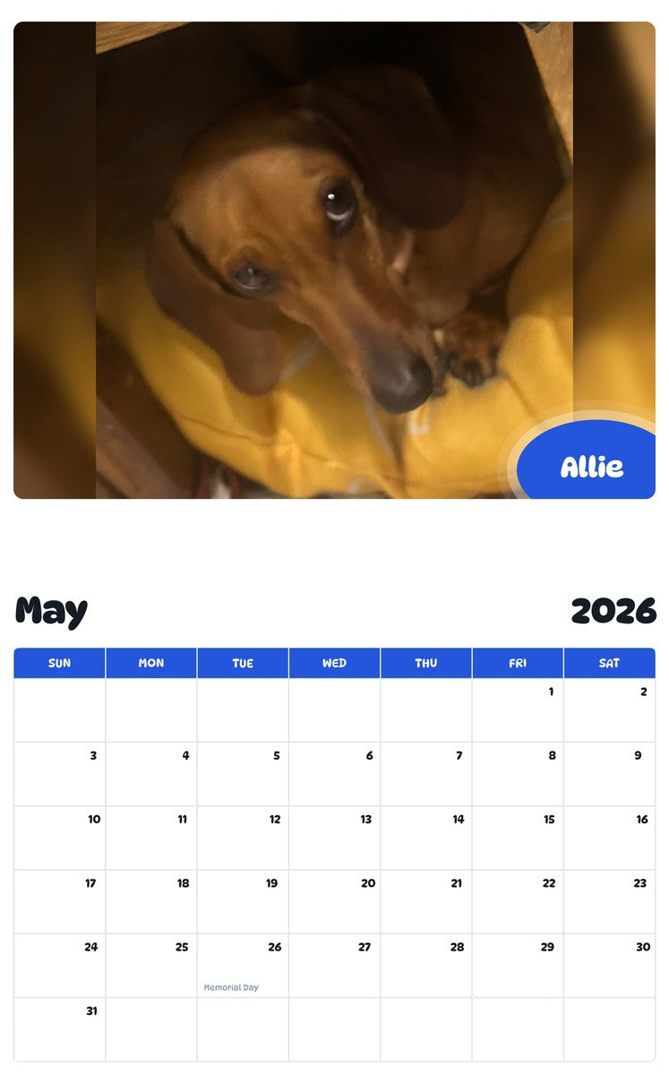 2026 - 2027 Allie - Pawidols Pet Calendar