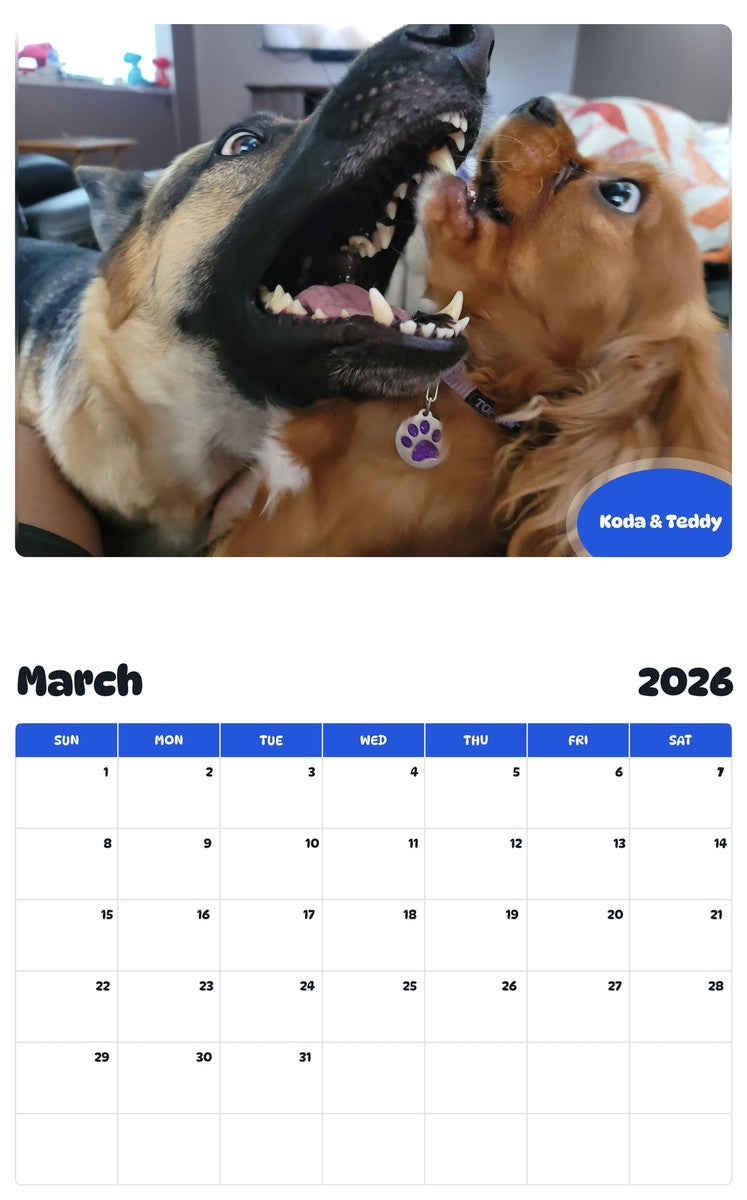 November 2025 - October 2026 Koda & Teddy - Pawidols Pet Calendar