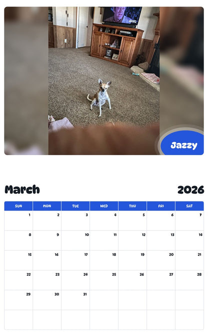 November 2025 - October 2026 Jazzy - Pawidols Pet Calendar