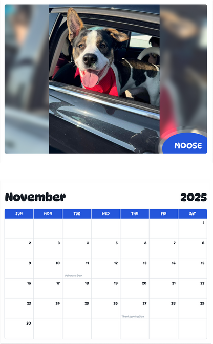 July 2025 - June 2026 Moose - Pawidols Pet Calendar