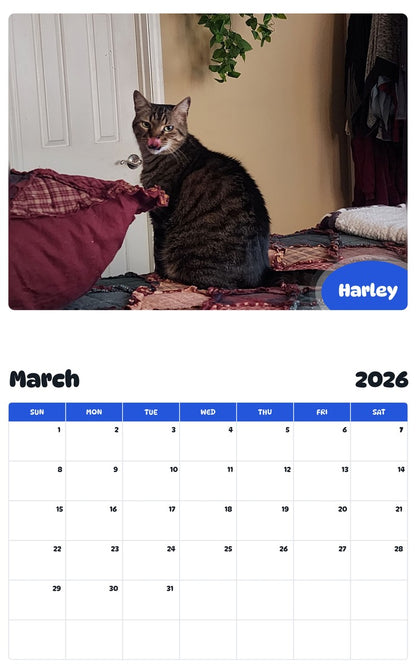 November 2025 - October 2026 Harley - Pawidols Pet Calendar
