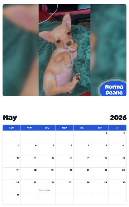 2026 - 2027 Norma Jeane - Pawidols Pet Calendar