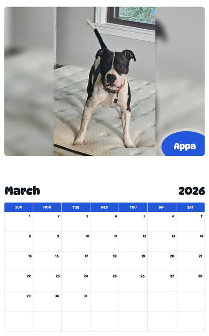 November 2025 - October 2026 Appa - Pawidols Pet Calendar
