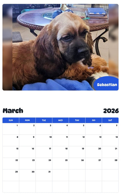 November 2025 - October 2026 Sebastian - Pawidols Pet Calendar