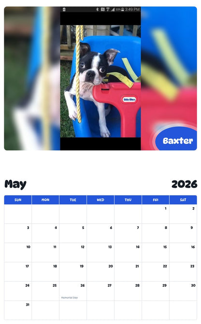 2026 - 2027 Baxter - Pawidols Pet Calendar