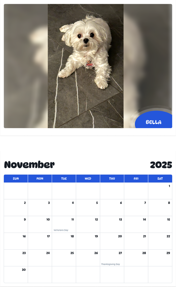 July 2025 - June 2026 Bella - Pawidols Pet Calendar